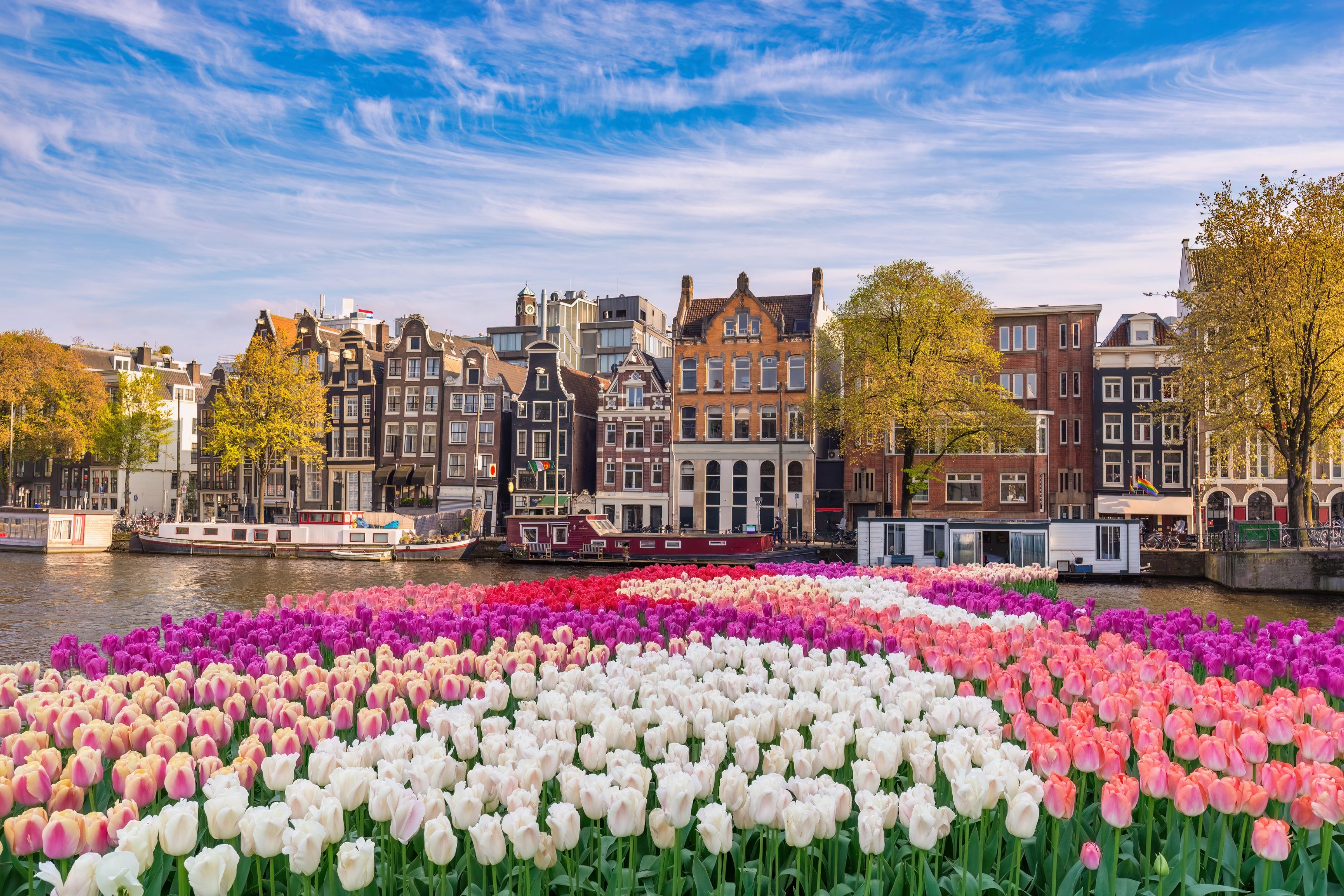 Blomstrande Holland med buss, 7 dagar 13-19/4
